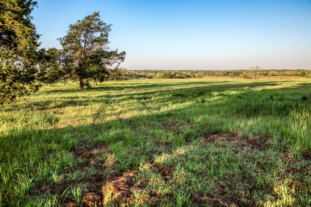 Tract 3 Fieldcrest Ln, Burton, Texas image 3
