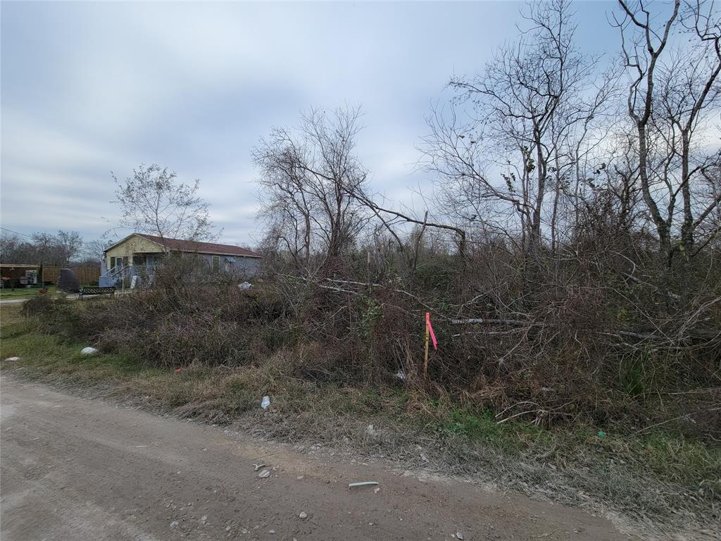 Magnolia Place Street, Fresno, Texas image 5