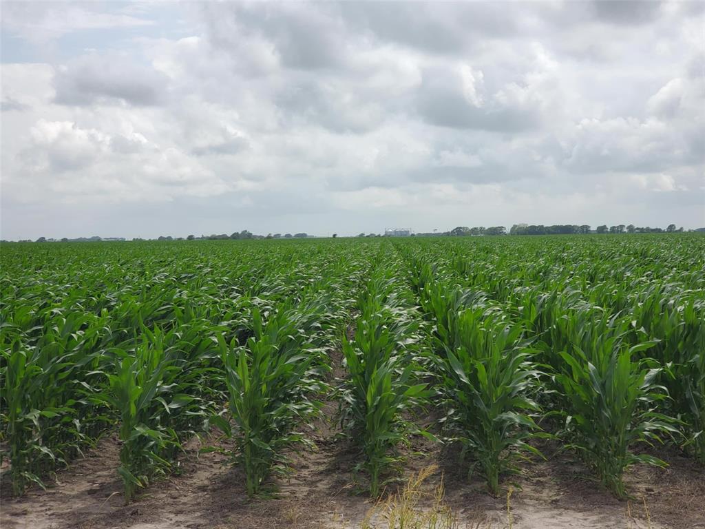 County Road 208, Ganado, Texas image 1