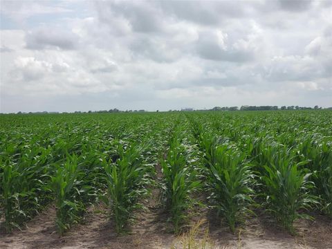0 County Road 208 Ganado TX 77962