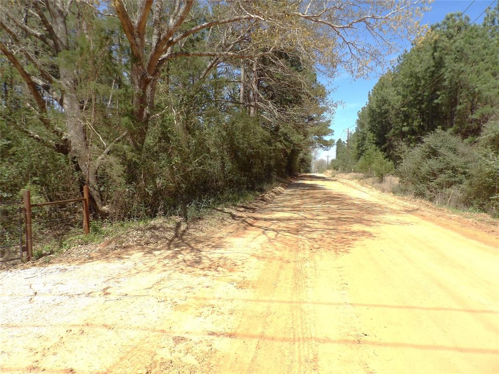 TBD County Road 1620, Grapeland, Texas image 3