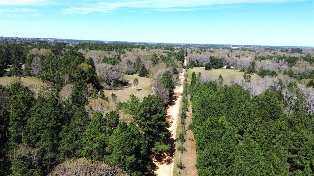 TBD County Road 1620, Grapeland, Texas image 15
