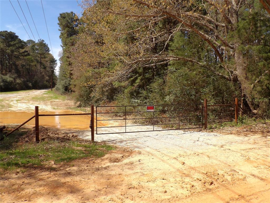 TBD County Road 1620, Grapeland, Texas image 25