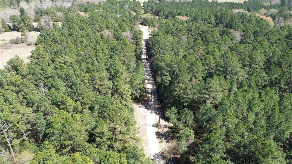 TBD County Road 1620, Grapeland, Texas image 20