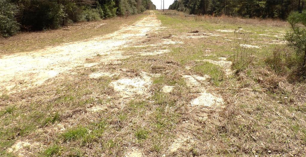 TBD County Road 1620, Grapeland, Texas image 9