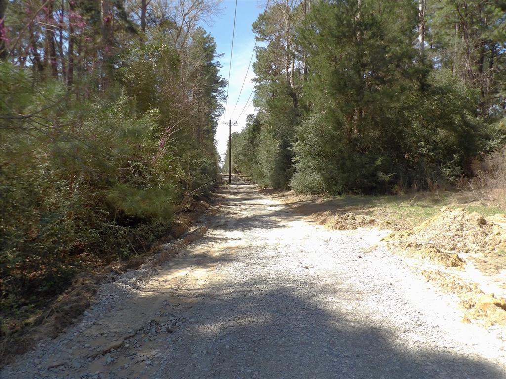 TBD County Road 1620, Grapeland, Texas image 5