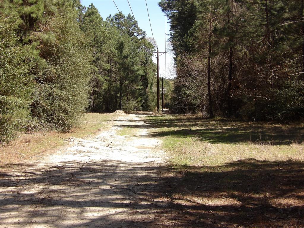 TBD County Road 1620, Grapeland, Texas image 11