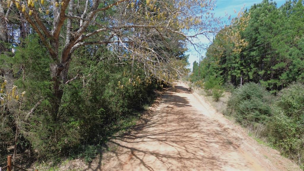 TBD County Road 1620, Grapeland, Texas image 12