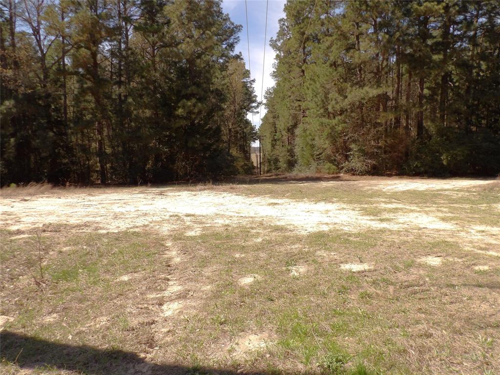 TBD County Road 1620, Grapeland, Texas image 8