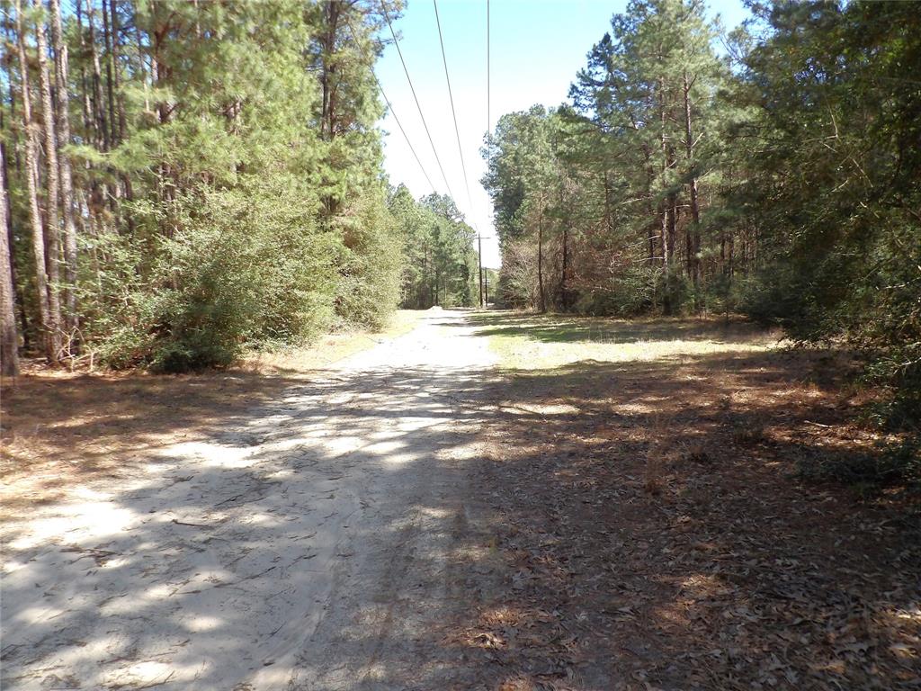 TBD County Road 1620, Grapeland, Texas image 10