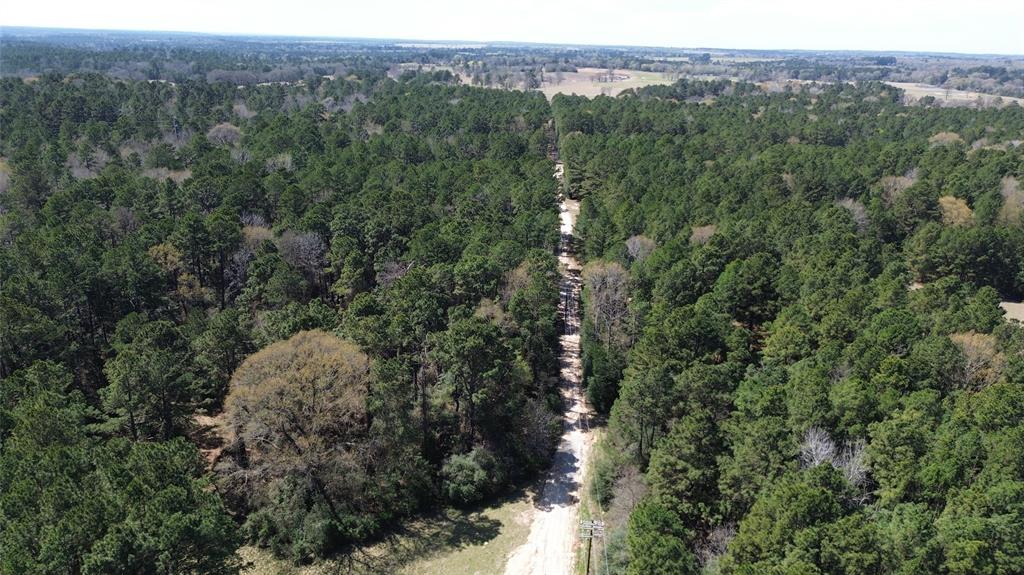TBD County Road 1620, Grapeland, Texas image 17