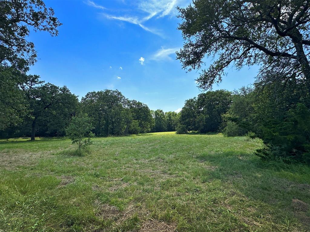 9801 Sun Oil Road, Brenham, Texas image 9