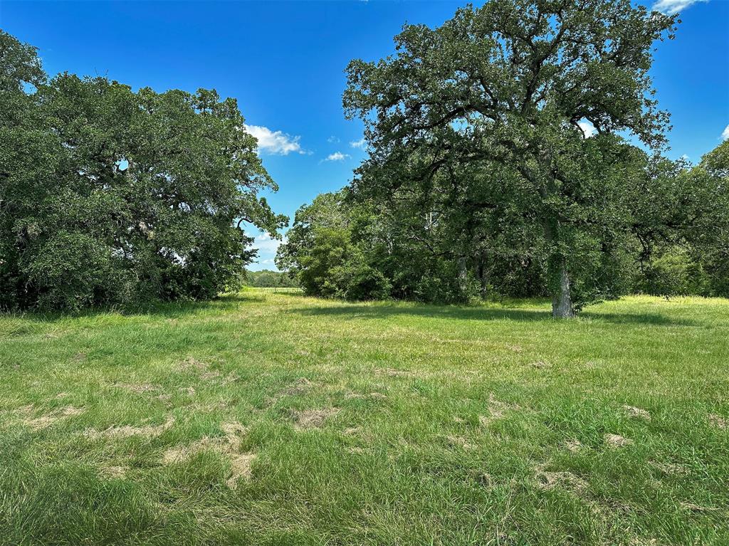 9801 Sun Oil Road, Brenham, Texas image 5