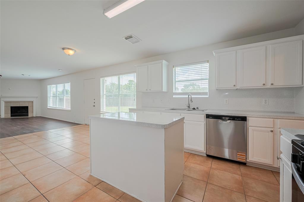 4123 Teal Valley Court, Fresno, Texas image 17