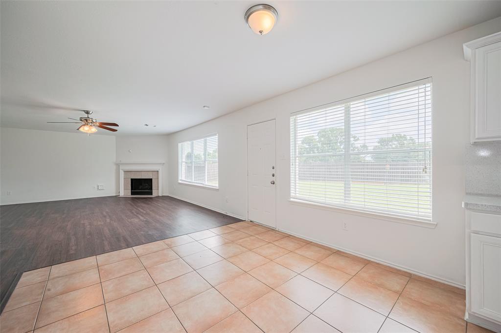 4123 Teal Valley Court, Fresno, Texas image 13