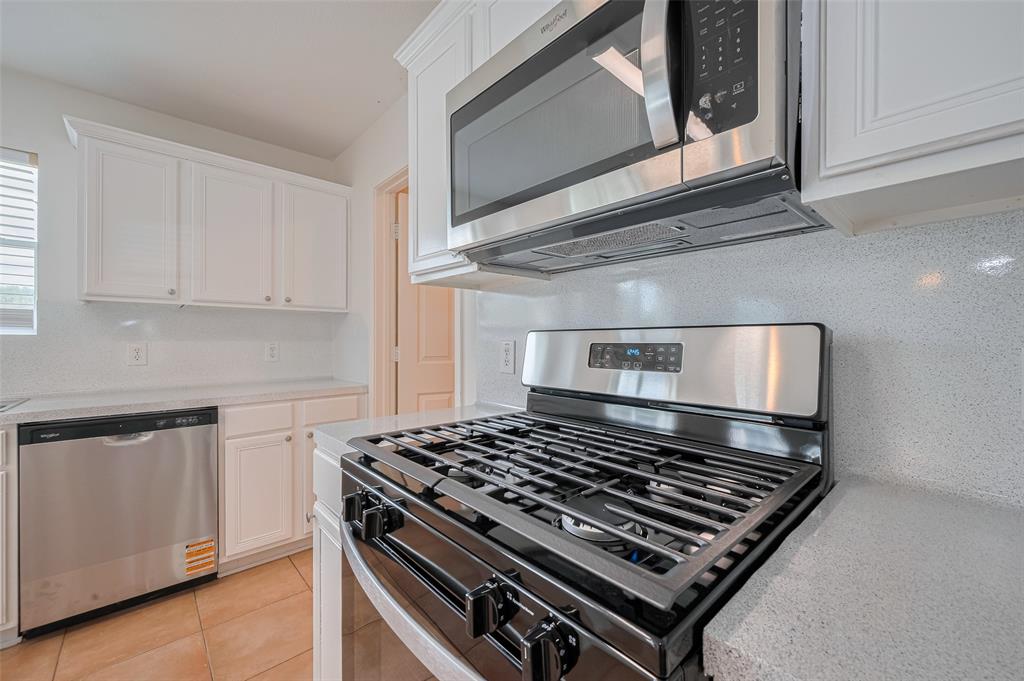 4123 Teal Valley Court, Fresno, Texas image 19