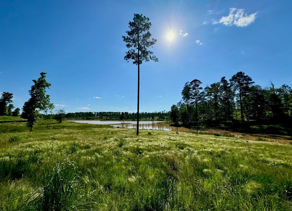 0000 Covey Circle, Livingston, Texas image 8