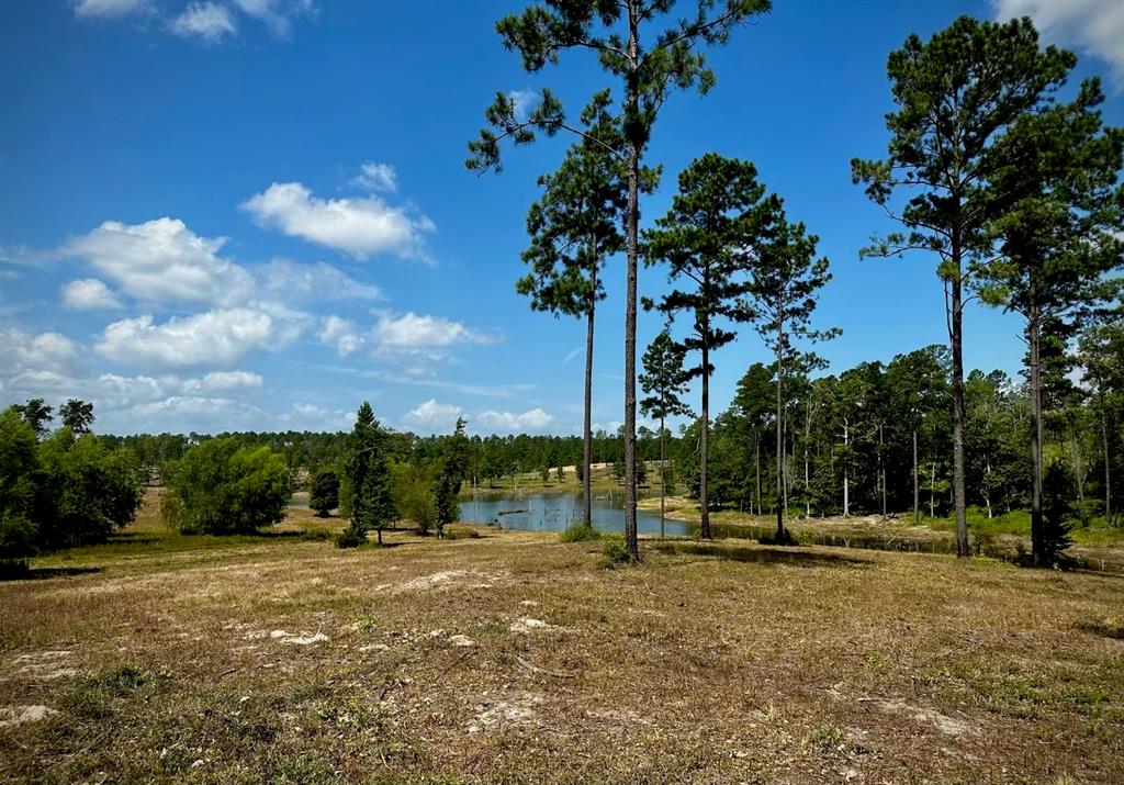 0000 Covey Circle, Livingston, Texas image 7