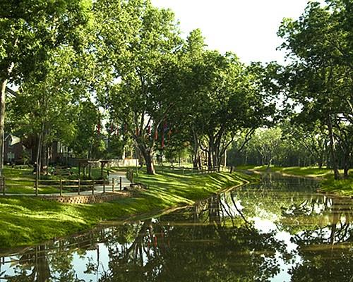 2118 Orchard Rose Drive, Missouri City, Texas image 12
