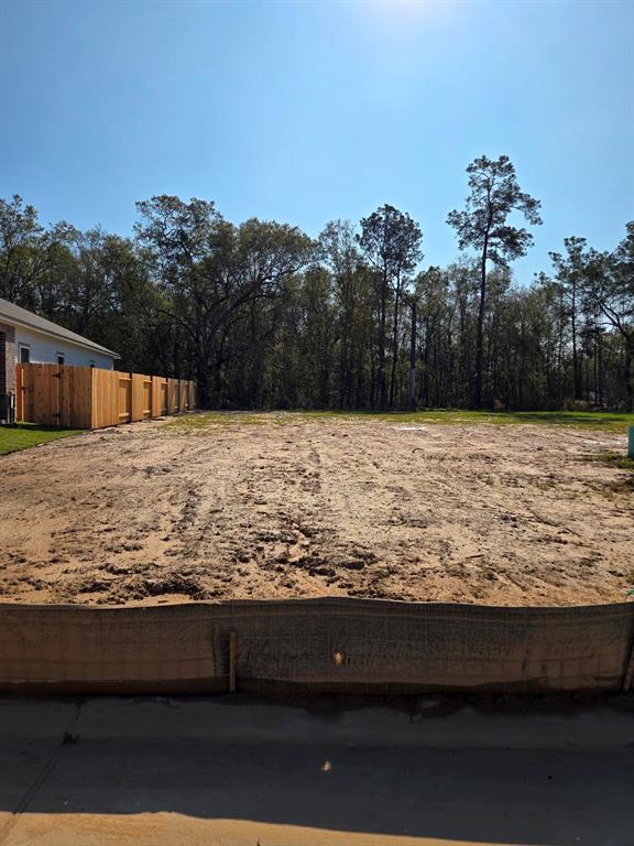 16898 Needlepoint Drive, Conroe, Texas image 7