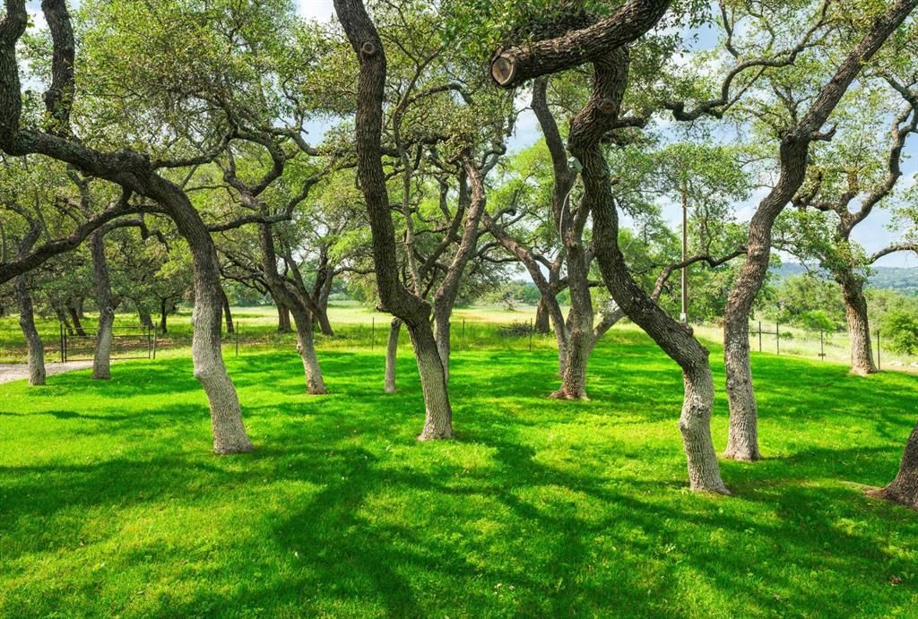 1878 Shovel Mountain Road, Round Mountain, Texas image 16