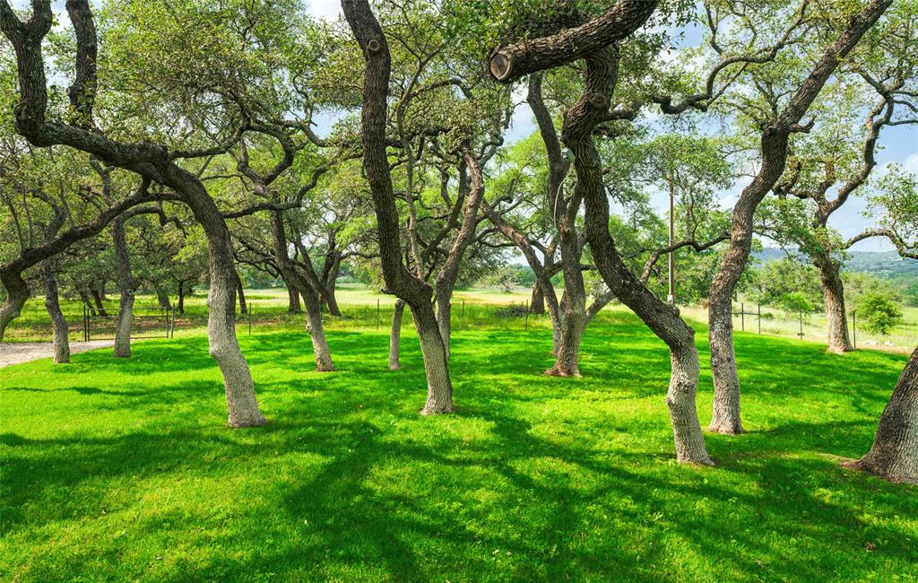 1878 Shovel Mountain Road, Round Mountain, Texas image 23