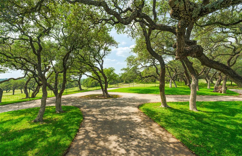 1878 Shovel Mountain Road, Round Mountain, Texas image 21