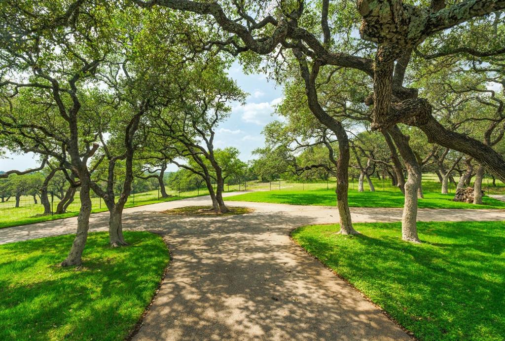 1878 Shovel Mountain Road, Round Mountain, Texas image 13