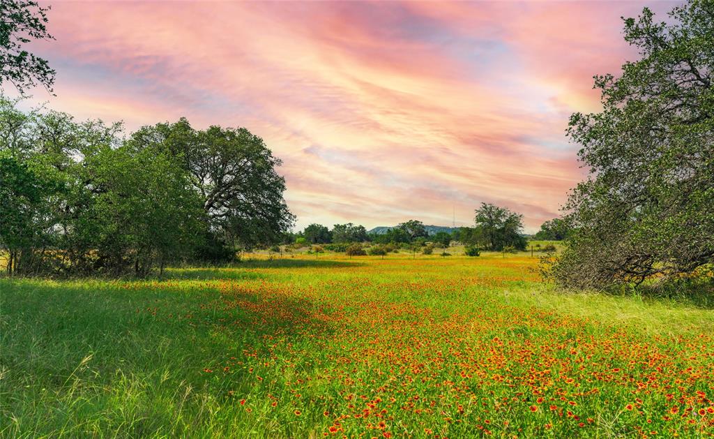 1878 Shovel Mountain Road, Round Mountain, Texas image 3