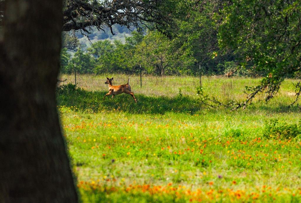 1878 Shovel Mountain Road, Round Mountain, Texas image 19
