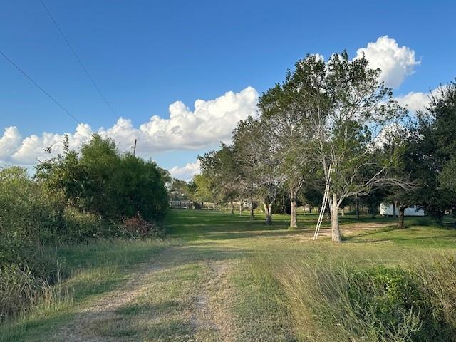 6083 E Fm 1462 Road, Rosharon, Texas image 14