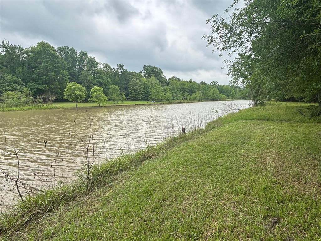 503 Sour Lake Circle, Cleveland, Texas image 7