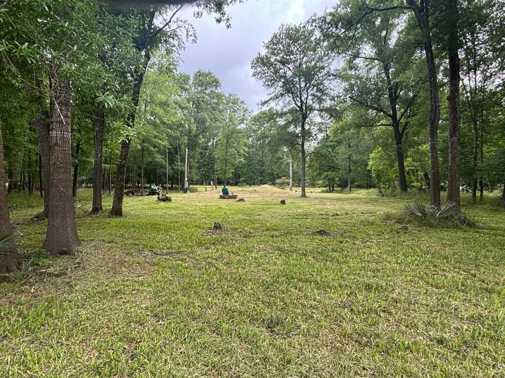 503 Sour Lake Circle, Cleveland, Texas image 8