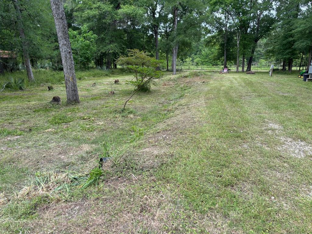 503 Sour Lake Circle, Cleveland, Texas image 6