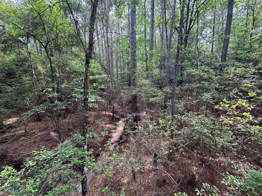 117 Hereford Trail, Huntsville, Texas image 10