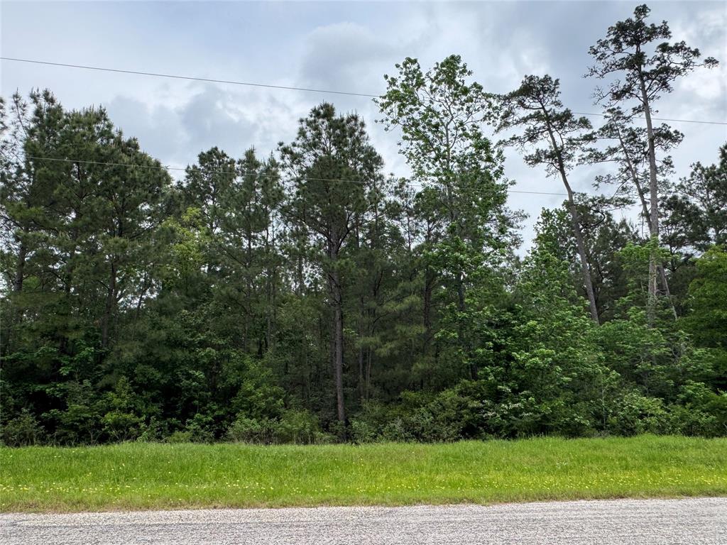 117 Hereford Trail, Huntsville, Texas image 2