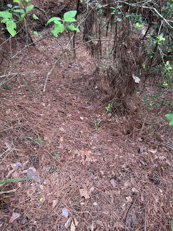 117 Hereford Trail, Huntsville, Texas image 11