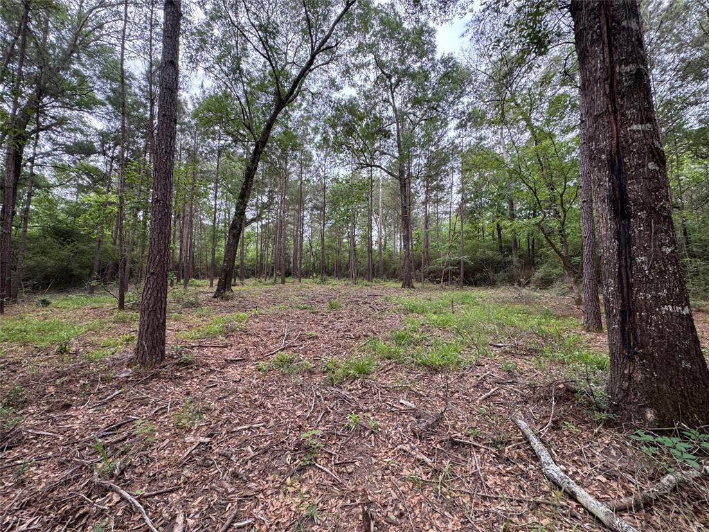 117 Hereford Trail, Huntsville, Texas image 1