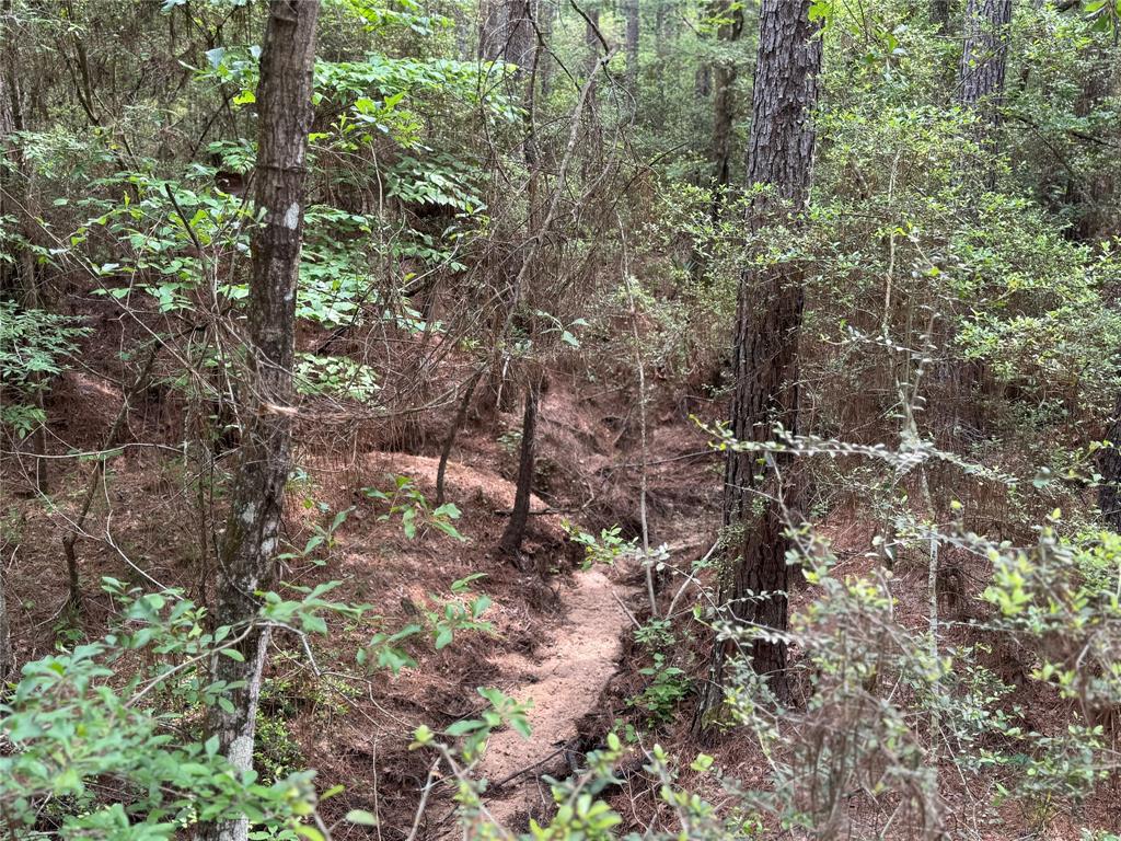 117 Hereford Trail, Huntsville, Texas image 9