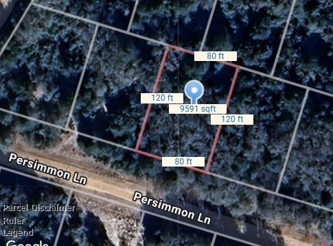 Lot 3 Persimmon Lane, Normangee, Texas image 2