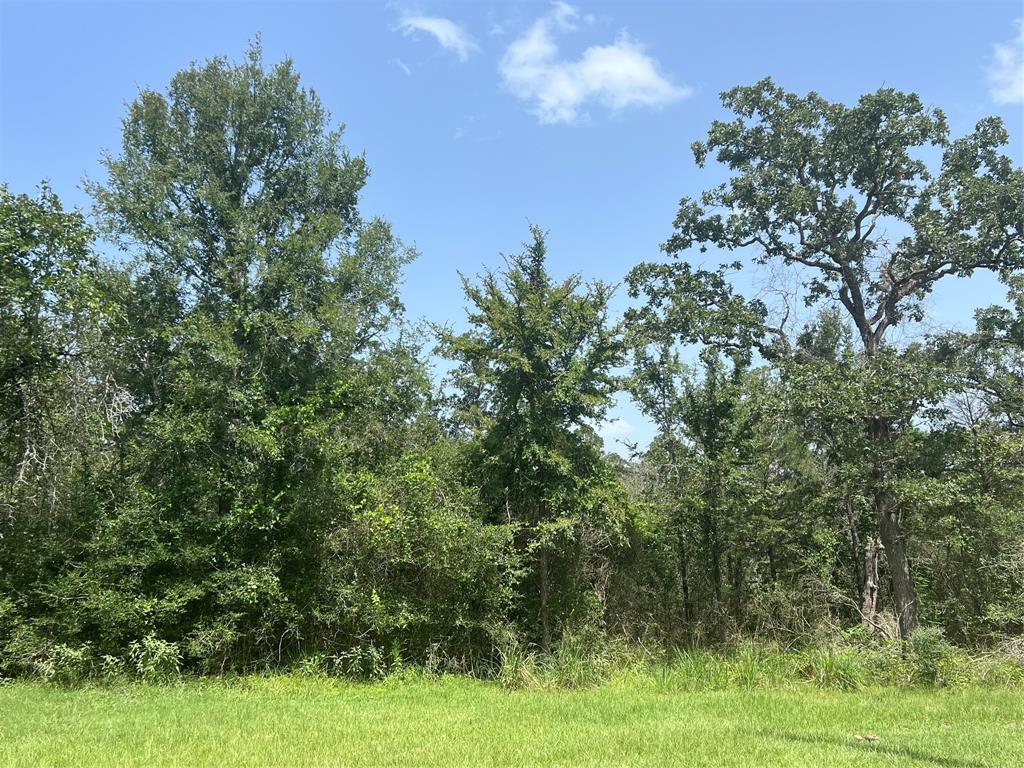 TBD County Road 154, Bedias, Texas image 4