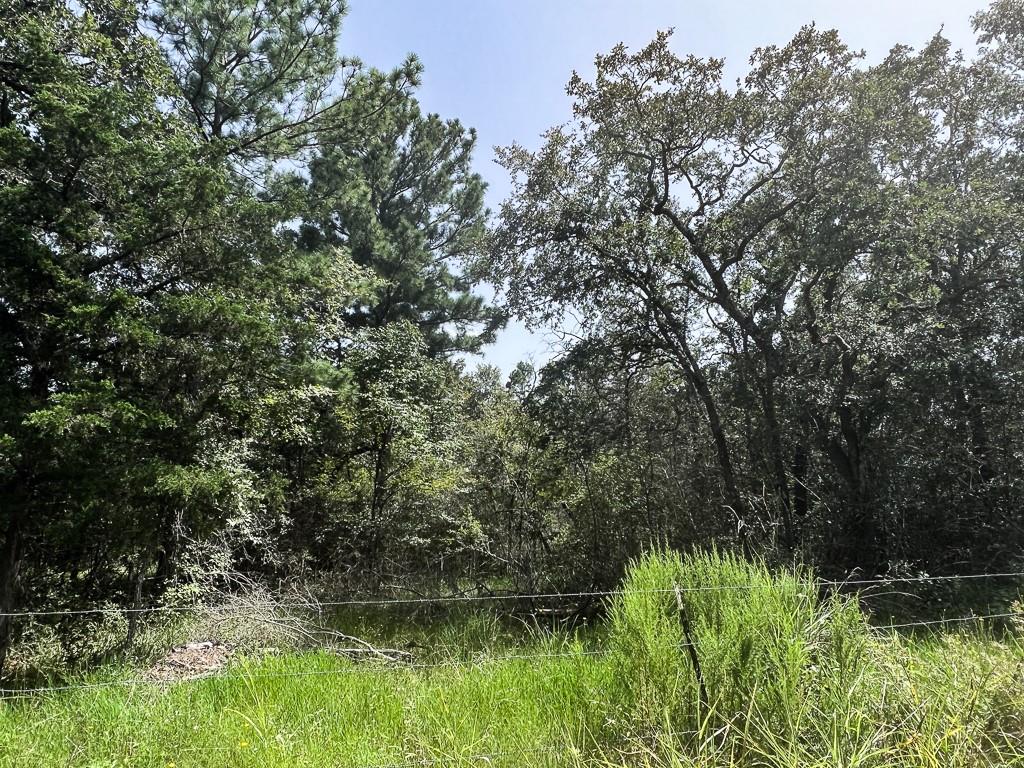 TBD County Road 154, Bedias, Texas image 10