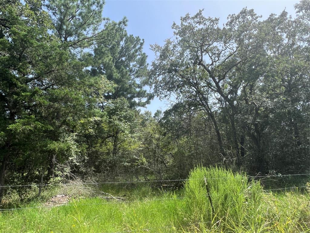 TBD County Road 154, Bedias, Texas image 7