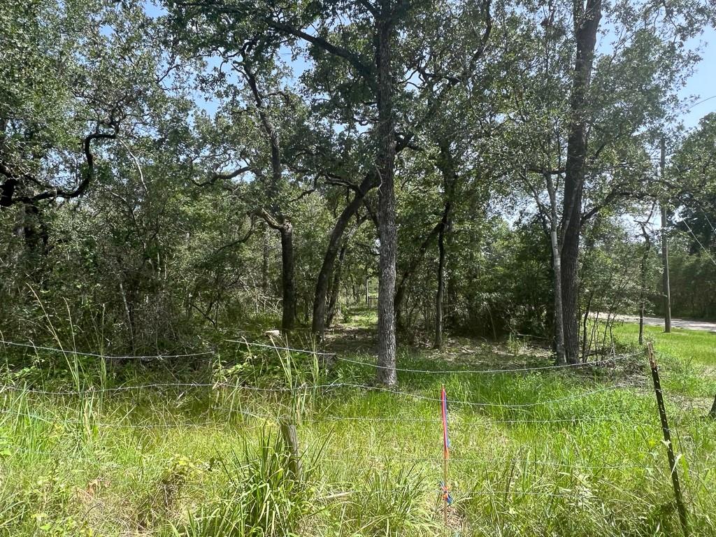 TBD County Road 154, Bedias, Texas image 11