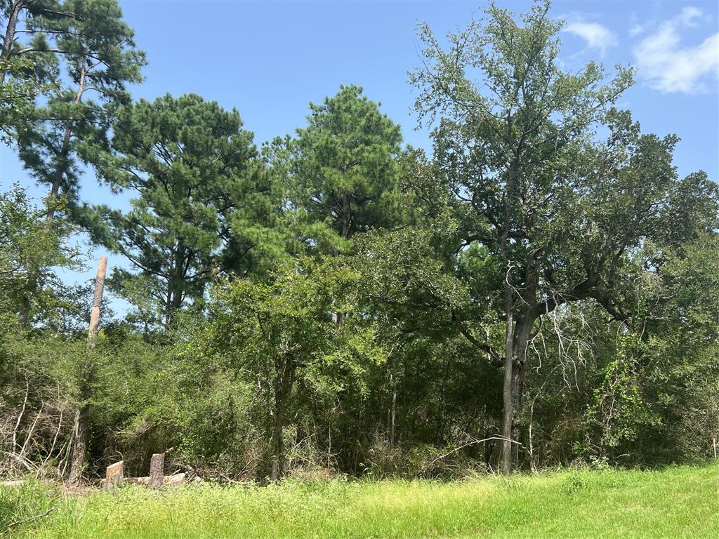 TBD County Road 154, Bedias, Texas image 3