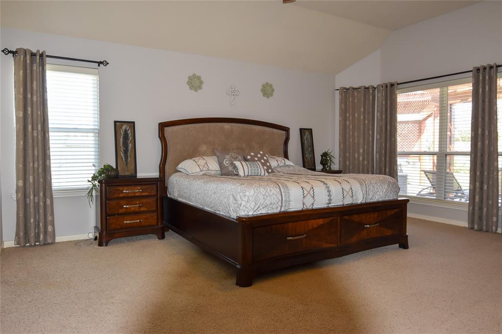 2603 Briar Rose Court, Pearland, Texas image 22