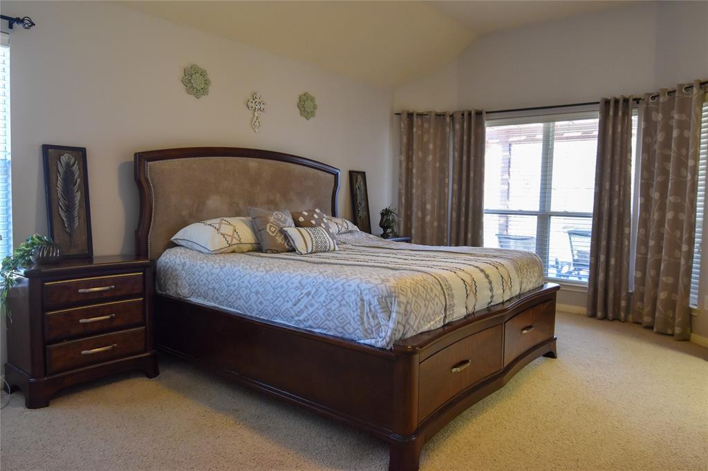 2603 Briar Rose Court, Pearland, Texas image 27