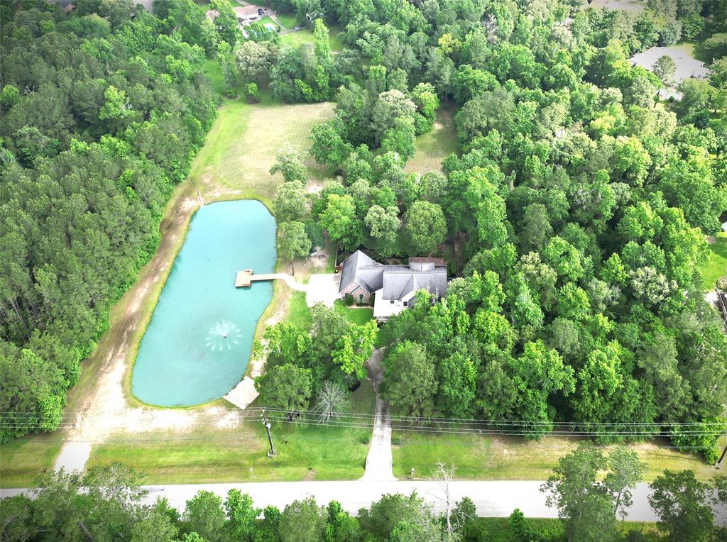 4034 Honea Egypt Road, Montgomery, Texas image 37