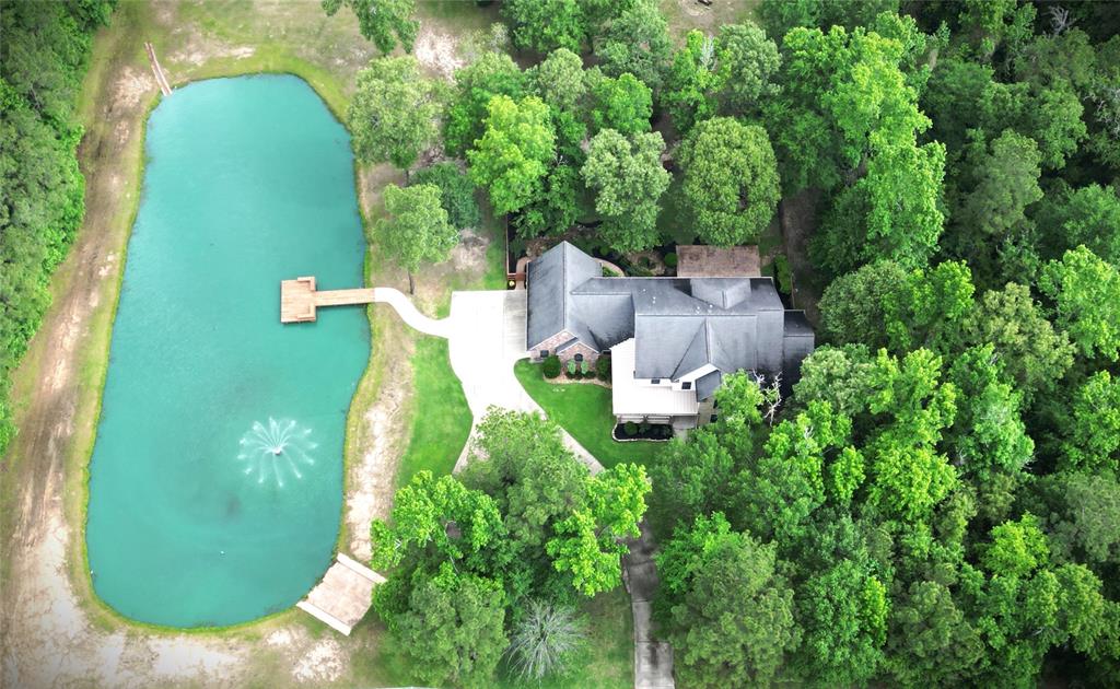 4034 Honea Egypt Road, Montgomery, Texas image 3