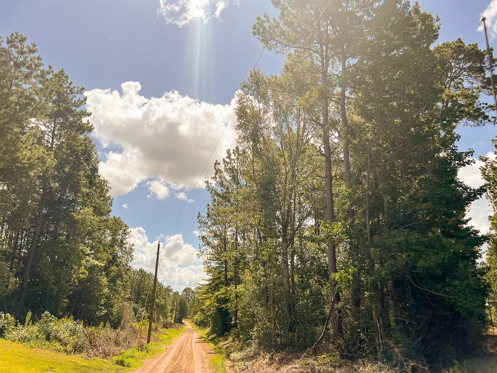 00 Cr 367, Zavalla, Texas image 4